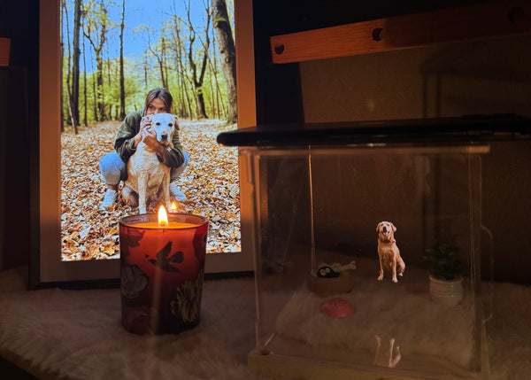 Beautiful & Meaningful